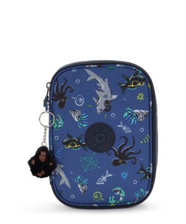 100 PENS Large pencase
