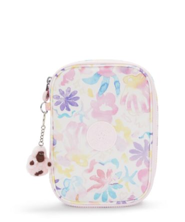 100 PENS Large pencase