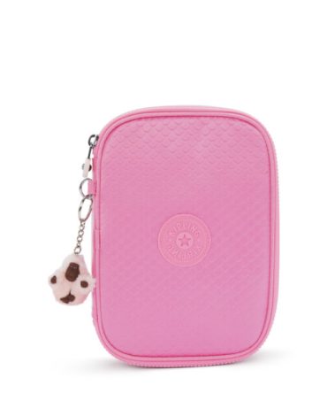 100 PENS Large pencase