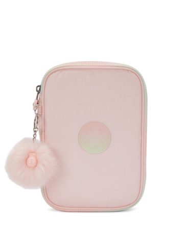 100 PENS Large pencase