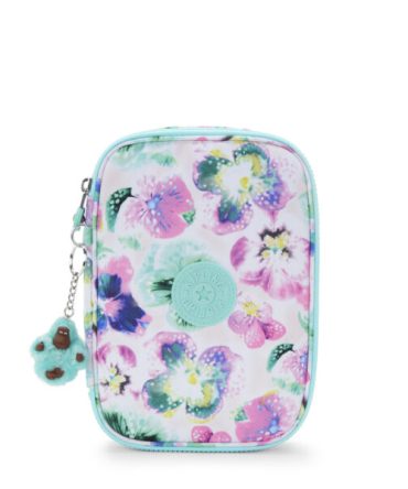 100 PENS Large pencase